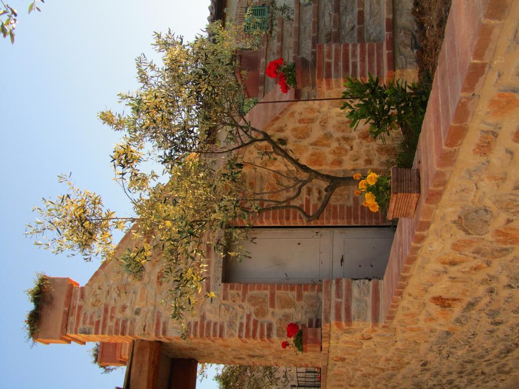 Agriturismo Borghetto Il Montino Rapolano Terme Exteriér fotografie