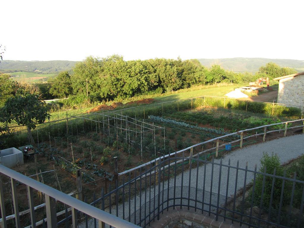 Agriturismo Borghetto Il Montino Rapolano Terme Exteriér fotografie