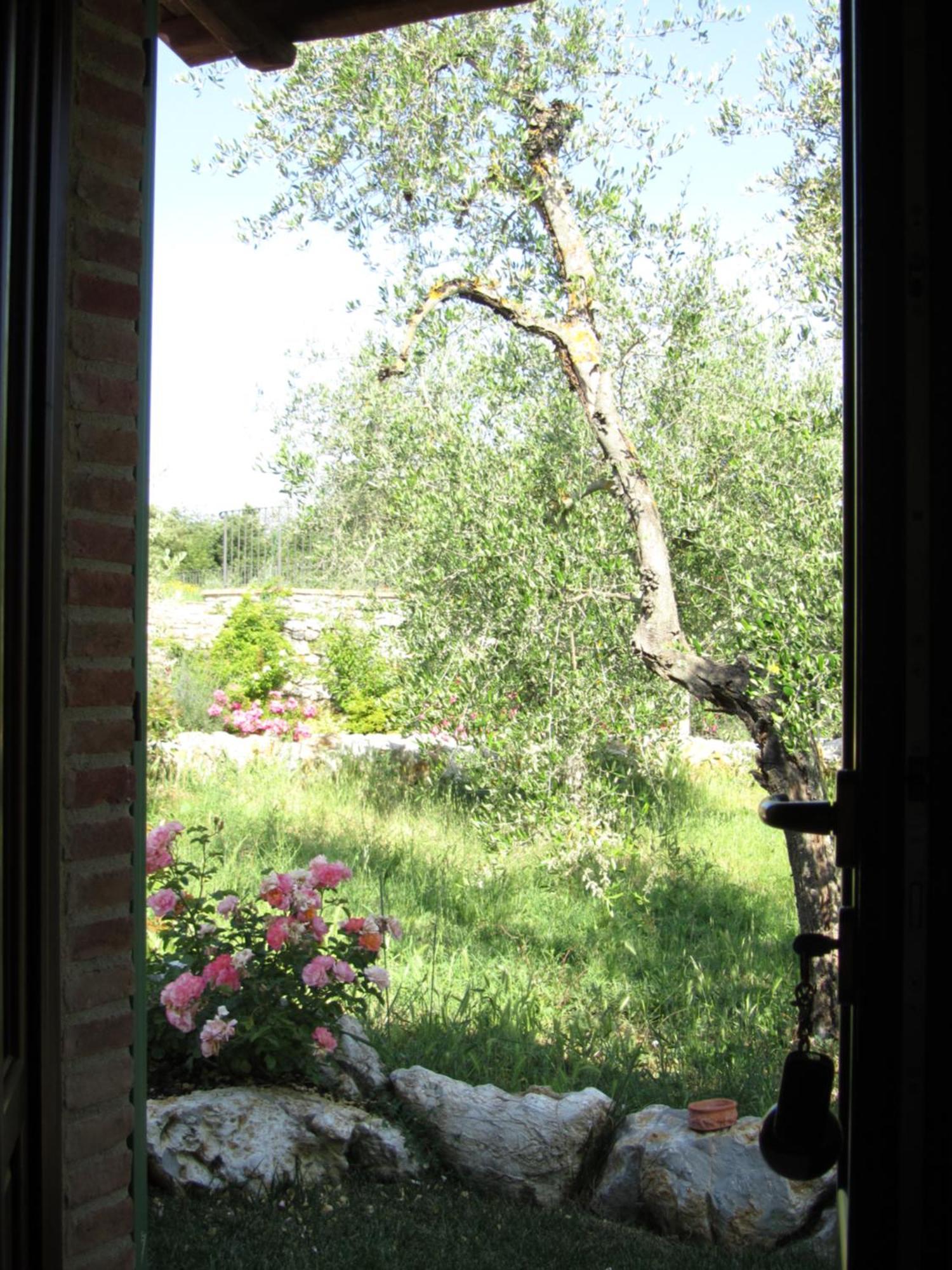 Agriturismo Borghetto Il Montino Rapolano Terme Exteriér fotografie