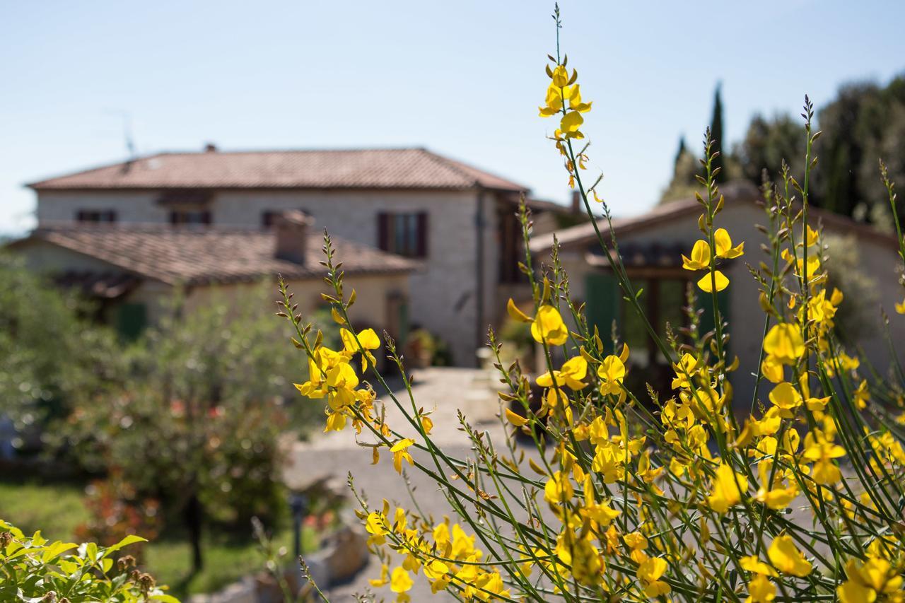 Agriturismo Borghetto Il Montino Rapolano Terme Exteriér fotografie