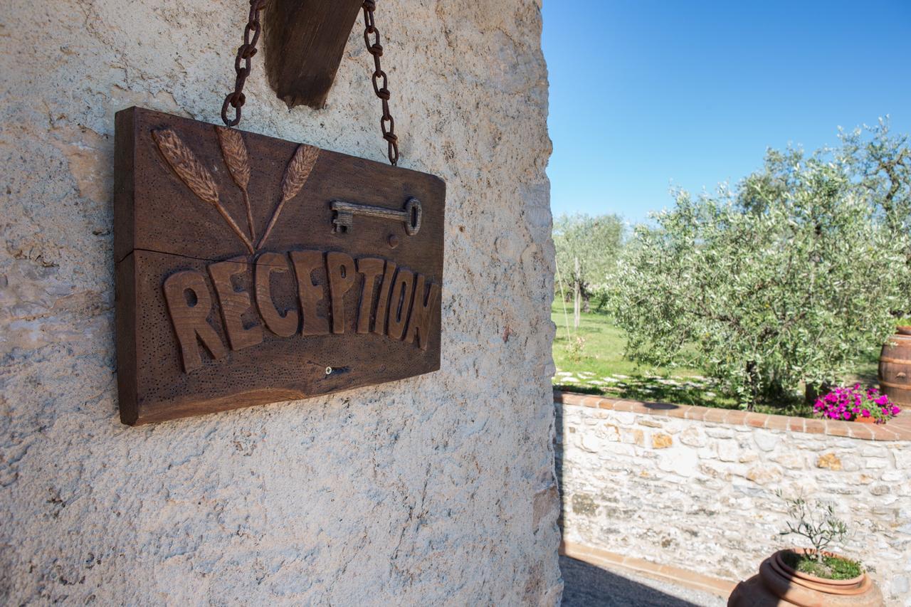 Agriturismo Borghetto Il Montino Rapolano Terme Exteriér fotografie